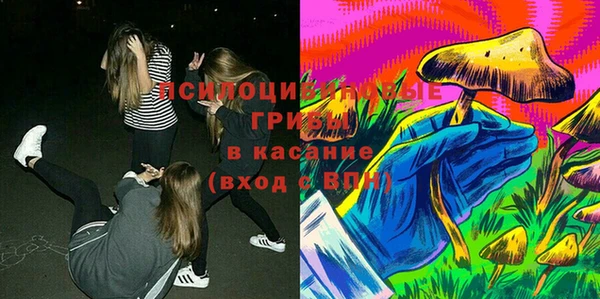 ешки Абаза