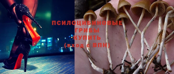 ешки Абаза