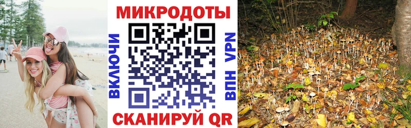 Псилоцибиновые грибы мицелий  Чкаловск 